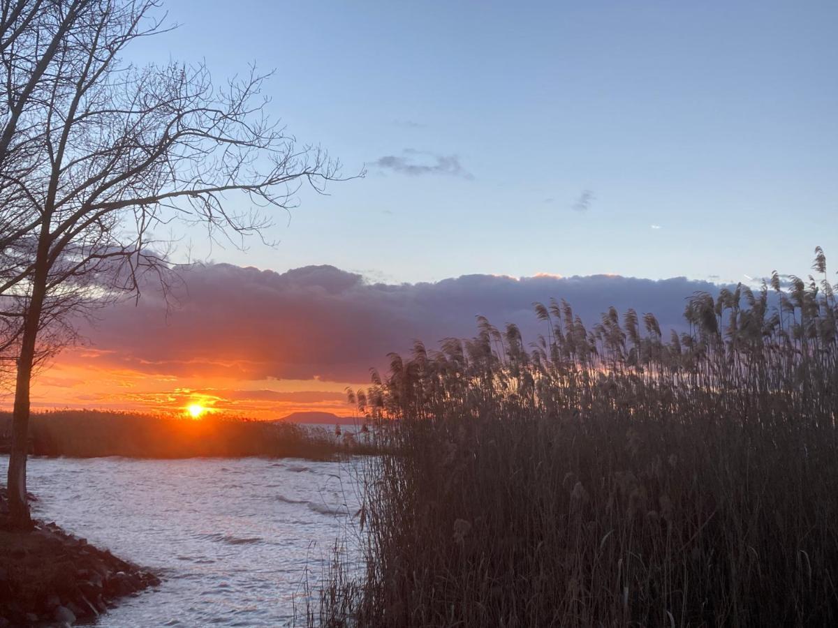 Zawia Apartman Lägenhet Balatonföldvár Exteriör bild